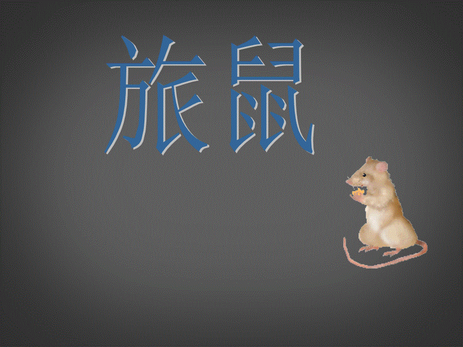 山东省日照市东港实验学校八年级语文下册 旅鼠之谜 课件 新人教版.ppt_第3页