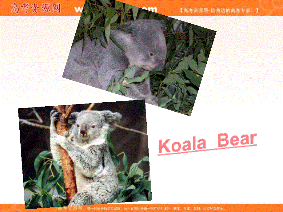 山东省临清二中英语课件：必修1 MODULE 3 MY FIRST RIDE ON A TRAIN READING（外研版必修1）.ppt_第2页