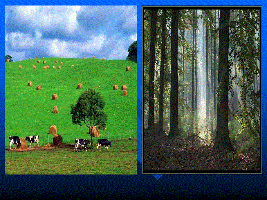 山东省临清市高中英语课件必修三：MODULE4 READING.ppt_第3页