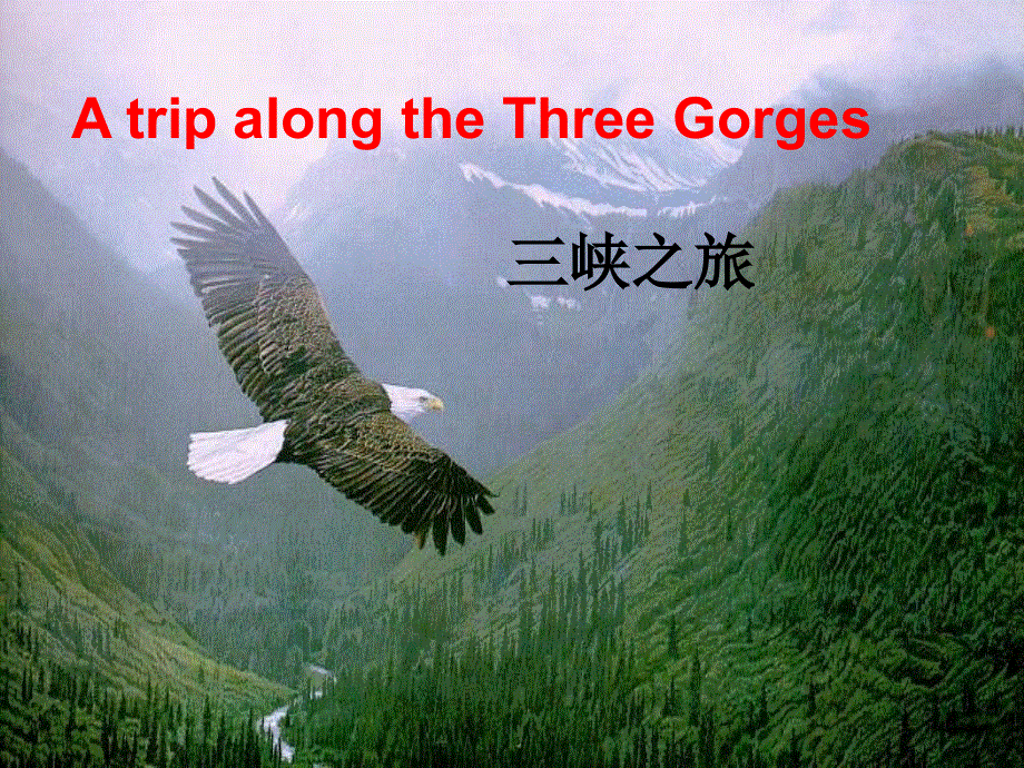 山东省临清二中英语课件：必修4 MODULE 5 A TRIP ALONG THE THREE GORGES READING（外研版必修4）.ppt_第3页