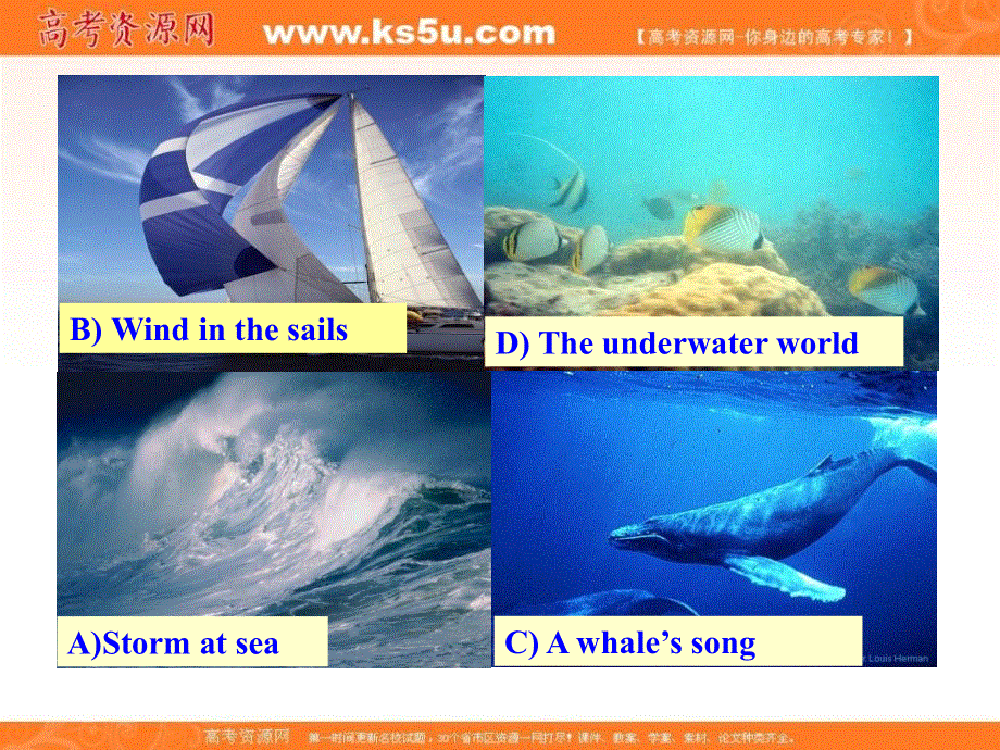 山东省莘县2012-2013学年高一英语课件： UNIT7 WARM-UP .ppt_第3页