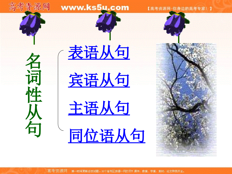 山东省阳信一中2013届高三英语语法专项复习课件 名词性从句.ppt_第2页