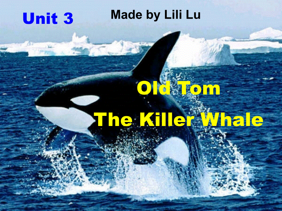 广东省汕头市东厦中学高中英语选修7：UNIT 3 UNDER THE SEA OLD TOM THE KILLER WHALE READING （共19张PPT） .ppt_第1页