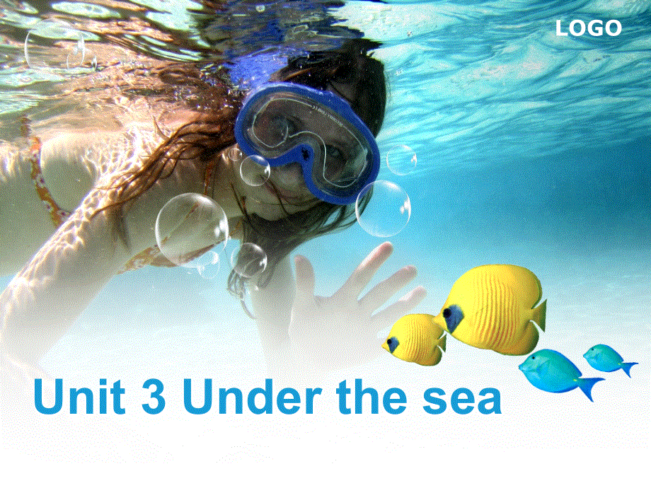 广东省汕头市东厦中学高中英语选修7：UNIT 3 UNDER THE SEA WARMING UP课件 （共30张PPT） .ppt_第1页