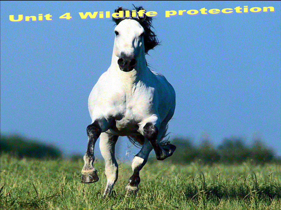 广东省汕头市潮南实验学校高中英语必修2课件：UNIT4 WRITING .ppt_第2页