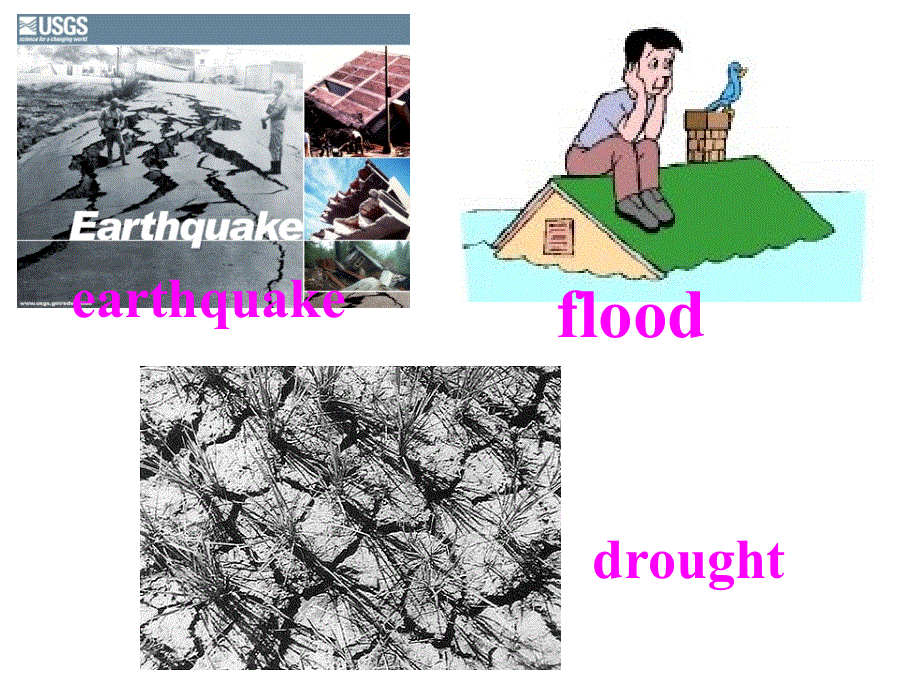 广东省江门市第一中学2016-2017学年高二英语 MODULE 6 UNIT 5 THE POWER OF NATURE-WARMING UP AND READING（课件） （共24张PPT） .ppt_第3页