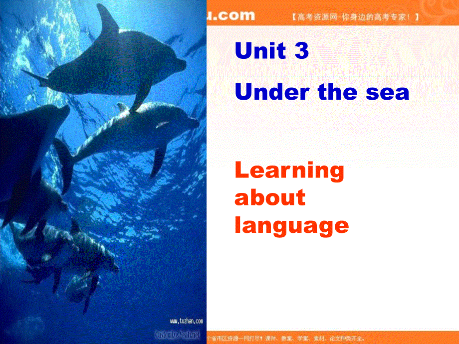 广东省江门市第一中学2016-2017学年（人教版）高中英语MODULE 7 UNIT 3 UNDER THE SEA-WORKBOOK （课件）（共35张PPT） .ppt_第1页