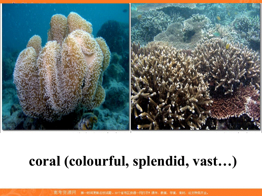 广东省江门市第一中学2016-2017学年（人教版）高中英语MODULE 7 UNIT 3 UNDER THE SEA-READING2（课件）（共27张PPT） .ppt_第3页