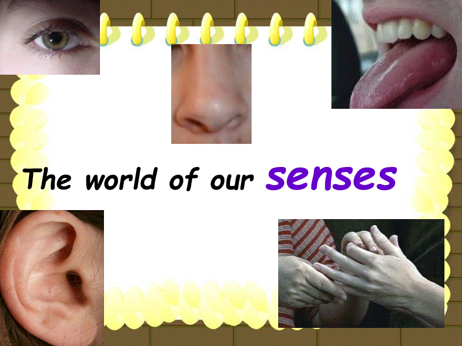 江苏省常州市西夏墅中学高一英语牛津版课件 必修三：UNIT 1 THE WORLD OF OUR SENSES WELCOME TO THE UNIT.ppt_第3页