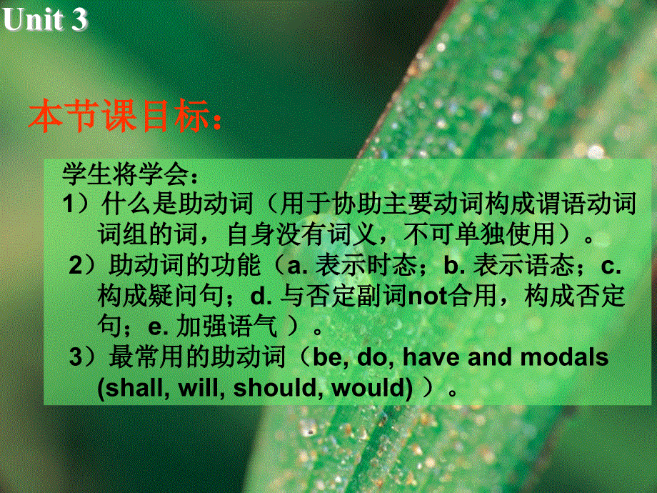 江苏省扬州市宝应县画川高级中学英语课件（牛津译林版）选修七：U3 GRAMMAR AND USAGE.ppt_第2页