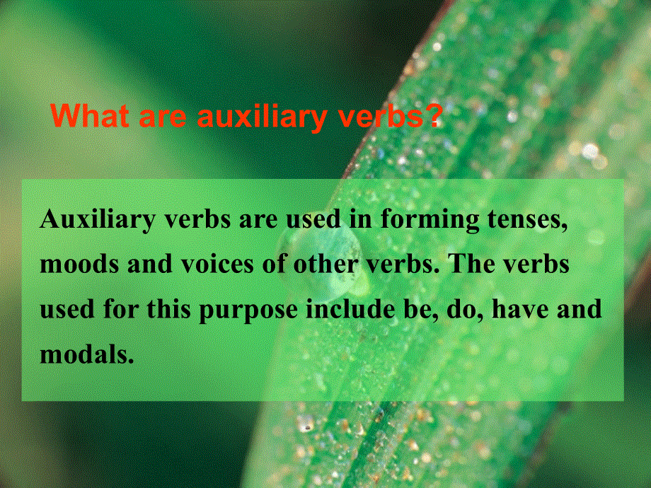 江苏省扬州市宝应县画川高级中学英语课件（牛津译林版）选修七：U3 GRAMMAR AND USAGE.ppt_第3页