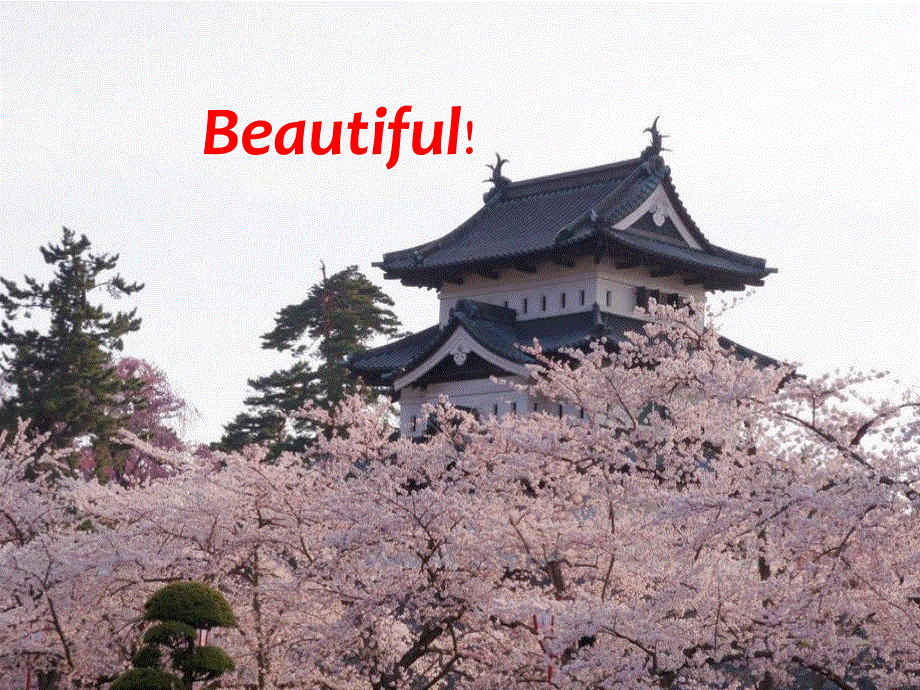 江苏省扬州市田家炳实验中学高中英语选修五：M5U3 PROJECT 课件 .ppt_第3页