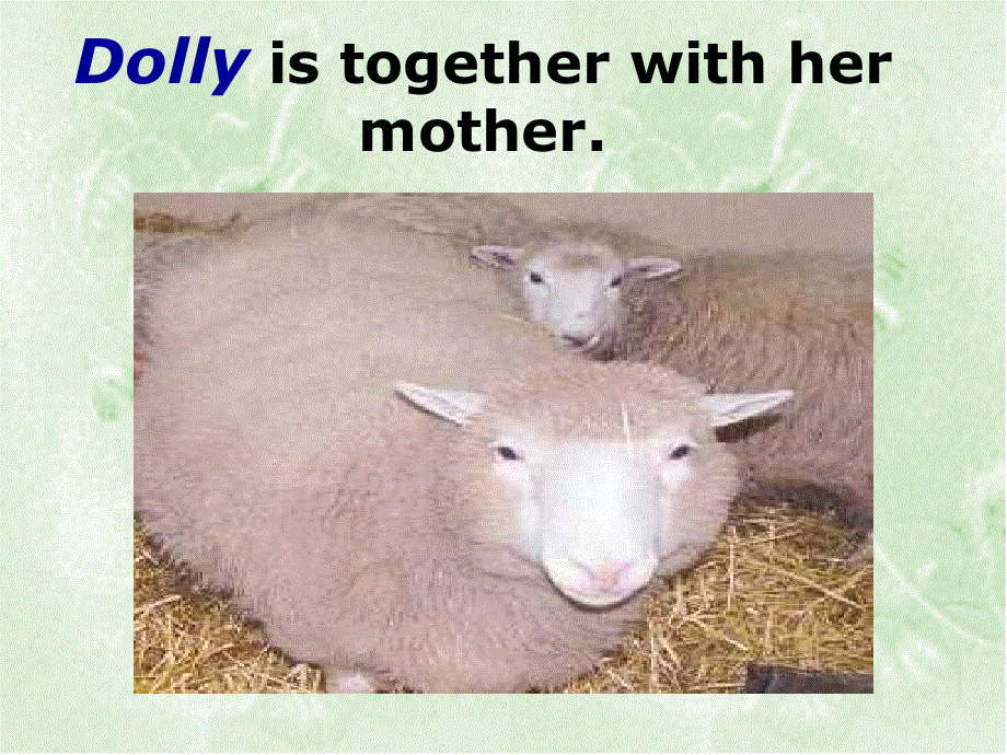 江苏省扬州市田家炳实验中学高中英语选修五：M5U3 READING 课件 .ppt_第3页