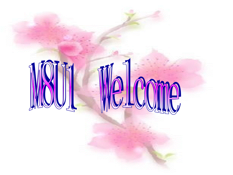 江苏省扬州市田家炳实验中学高中英语选修八：M8U1 PROJECT 课件 .ppt_第1页