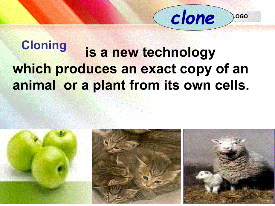 江苏省扬州市田家炳实验中学高中英语选修五：M5U3 WELCOME READING 课件 .ppt_第2页