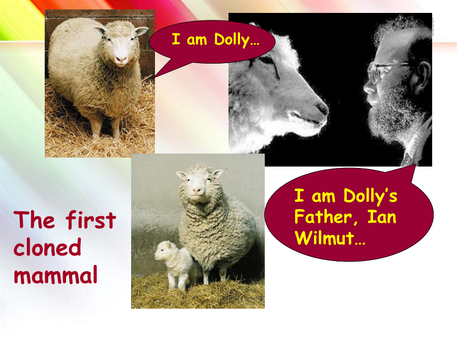 江苏省扬州市田家炳实验中学高中英语选修五：M5U3 WELCOME READING 课件 .ppt_第3页