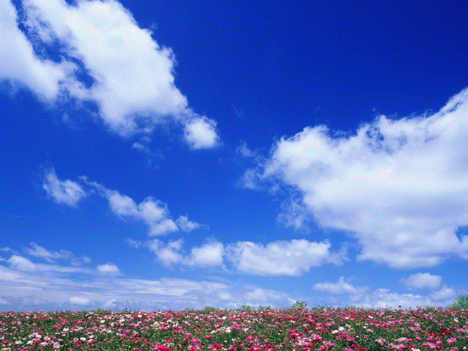 江苏省江阴市祝塘中学牛津译林版高中英语必修五UNIT2 THE ENVIRONMENT 课件2 .ppt_第1页