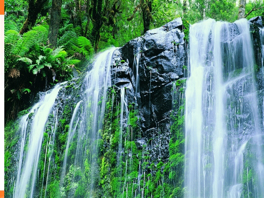 江苏省江阴市祝塘中学牛津译林版高中英语必修五UNIT2 THE ENVIRONMENT 课件2 .ppt_第2页