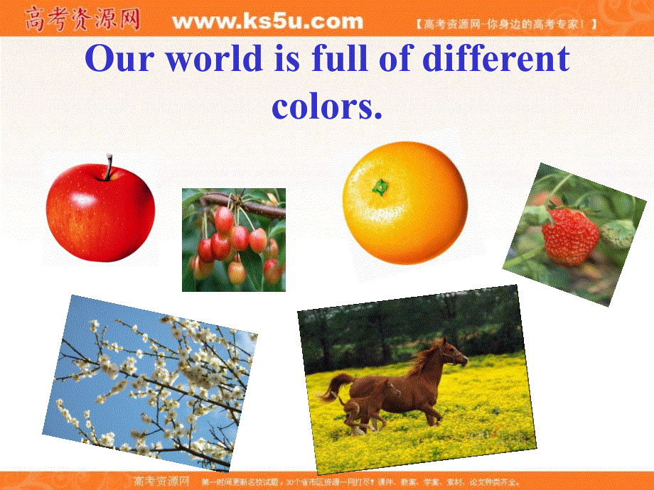 江苏省江阴市祝塘中学译林牛津版高中英语选修9课件：U3PROJECT上课 .ppt_第2页