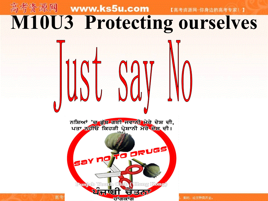 江苏省江阴市祝塘中学译林牛津版高中英语选修10课件：UNIT3 PROJECT（共9张PPT） .ppt_第1页