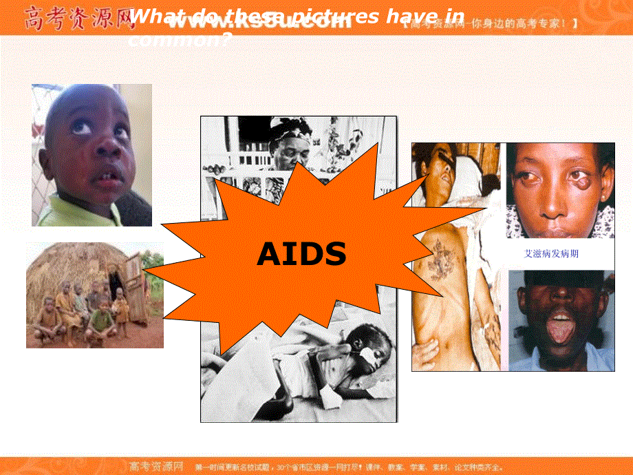 江苏省江阴市祝塘中学译林牛津版高中英语选修10课件：U3READING .ppt_第2页