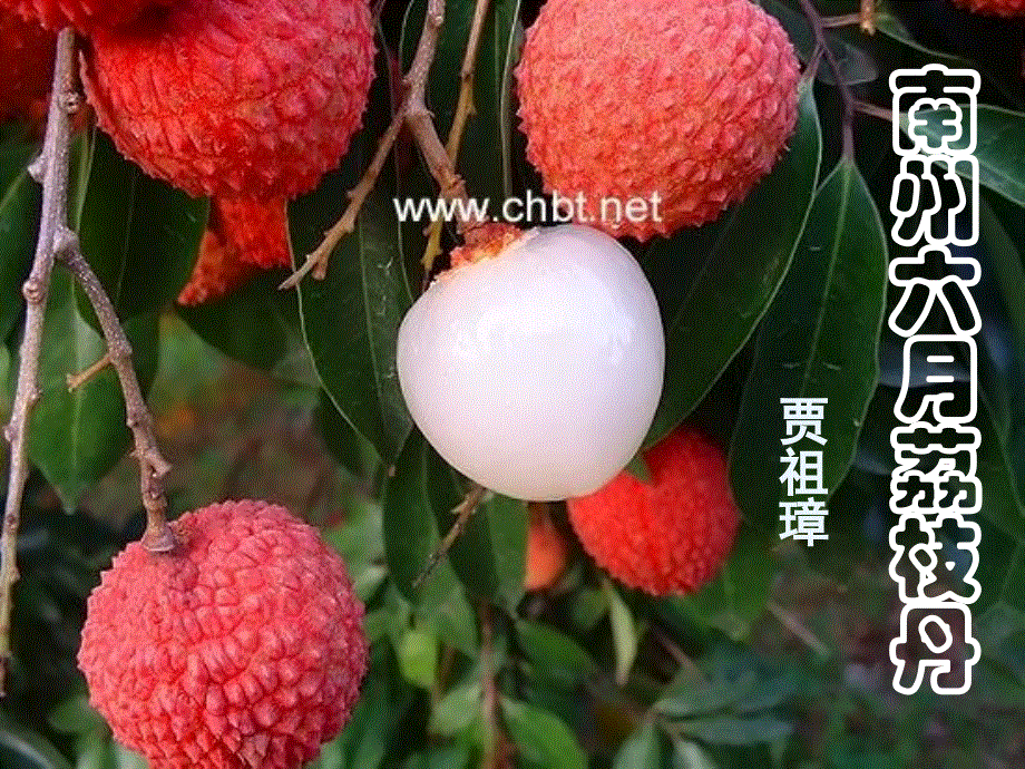 江苏省涟水县第一中学高中语文苏教版必修5课件：专题一 南州六月荔枝丹.ppt_第1页