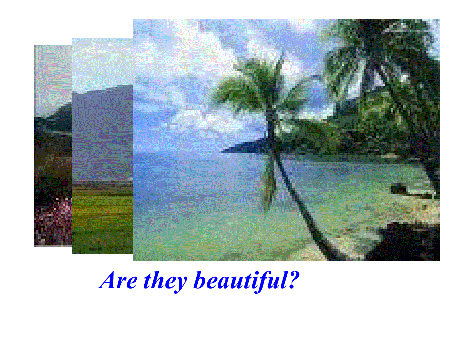 江苏省赣榆县厉庄高级中学译林牛津版高中英语模块五：UNIT3 SCIENCE AND NATURE PROJECT 课件 （共27张PPT） .ppt_第3页