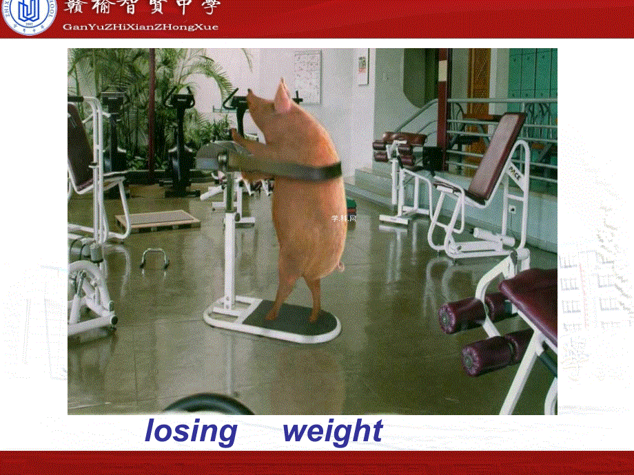 江苏省赣榆县智贤中学高中英语选修六 UNIT 1 LAUGHTER IS GOOD FOR YOU WELCOME TO THE UNIT 课件.ppt_第2页