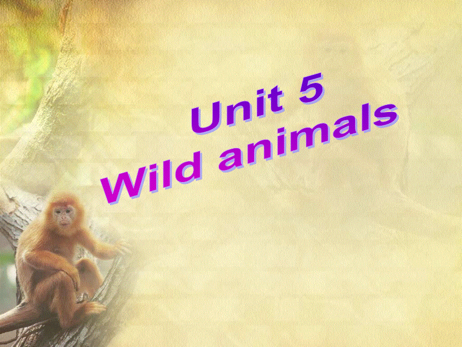 牛津译林英语八（上）Unit 5 Wild animals welcome to the unit 公开课教学课件共24张PPT.ppt_第1页