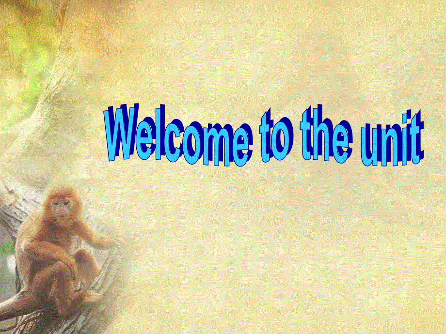 牛津译林英语八（上）Unit 5 Wild animals welcome to the unit 公开课教学课件共24张PPT.ppt_第2页