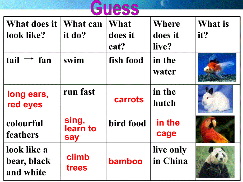 牛津译林英语八（上）Unit 5 Wild animals welcome to the unit 公开课教学课件共24张PPT.ppt_第3页