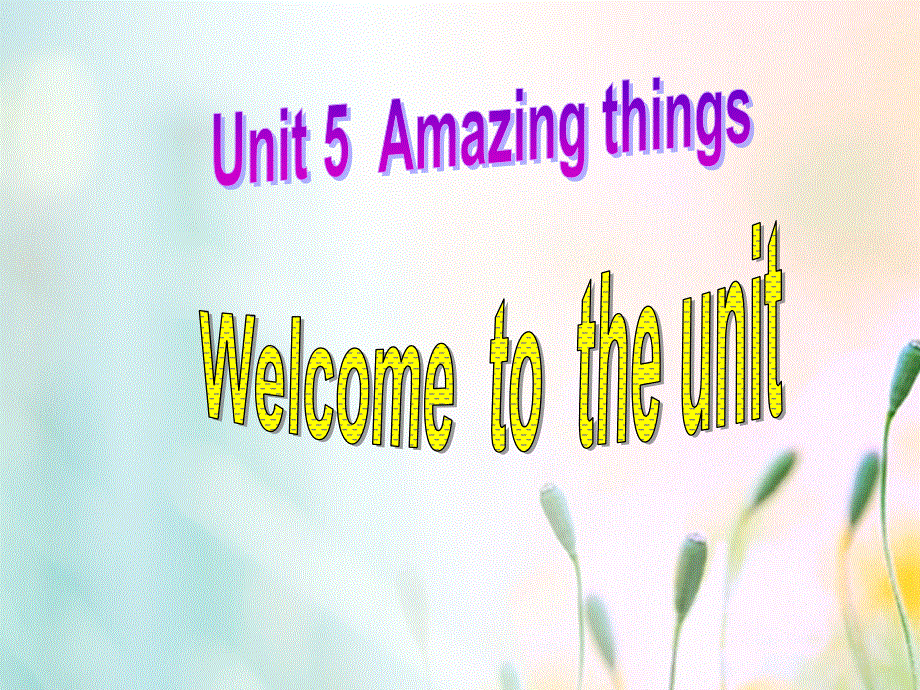 江苏省连云港市东海县七年级英语下册Unit5AmazingthingsWelcometotheunit课件新版牛津版20180525176.ppt_第1页
