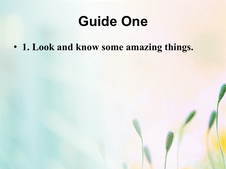 江苏省连云港市东海县七年级英语下册Unit5AmazingthingsWelcometotheunit课件新版牛津版20180525176.ppt_第3页