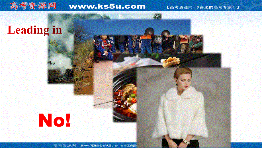 新教材2021-2022学年高中英语外研版必修第一册课件：UNIT 5 INTO THE WILD-PERIOD 3 DEVELOPING IDEAS .ppt_第3页