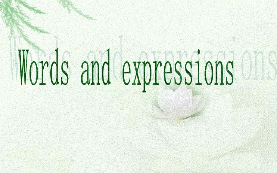 新概念英语第二册 Lesson26(共62张PPT).ppt_第3页