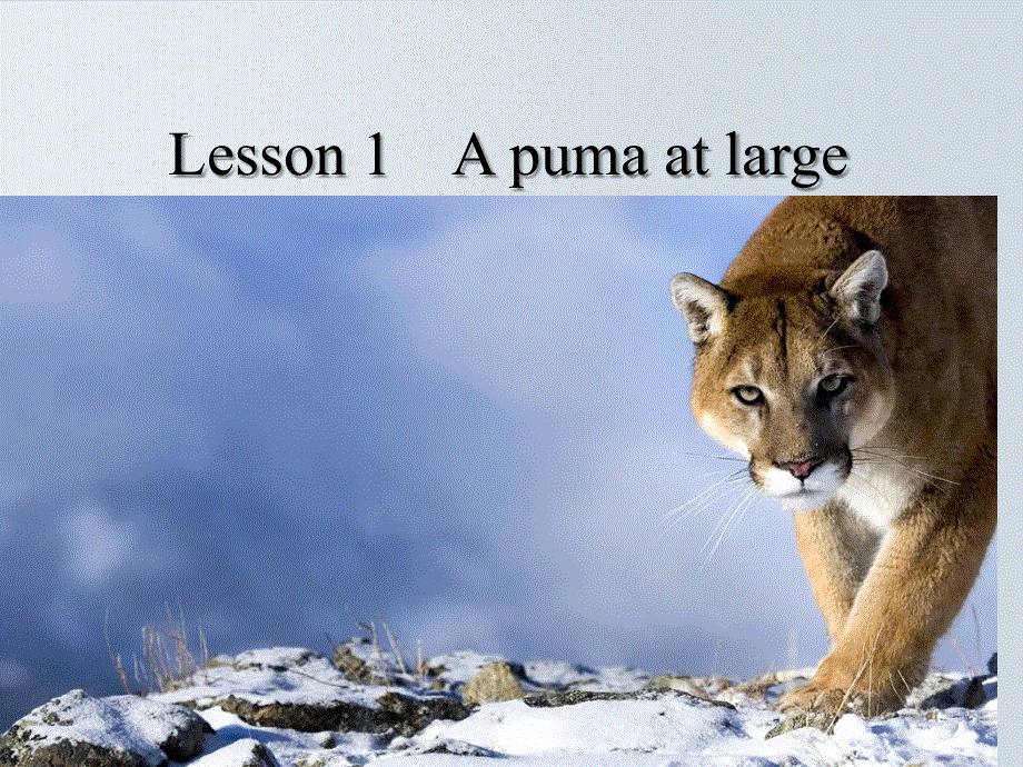 新概念英语三第一课（共28张PPT）.ppt_第1页