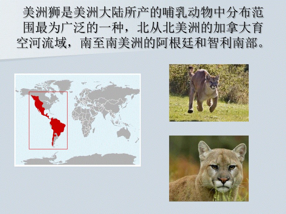 新概念英语三第一课（共28张PPT）.ppt_第3页