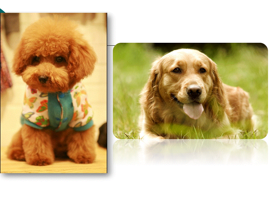 新概念英语第二册第18课（共35张PPT）.ppt_第2页