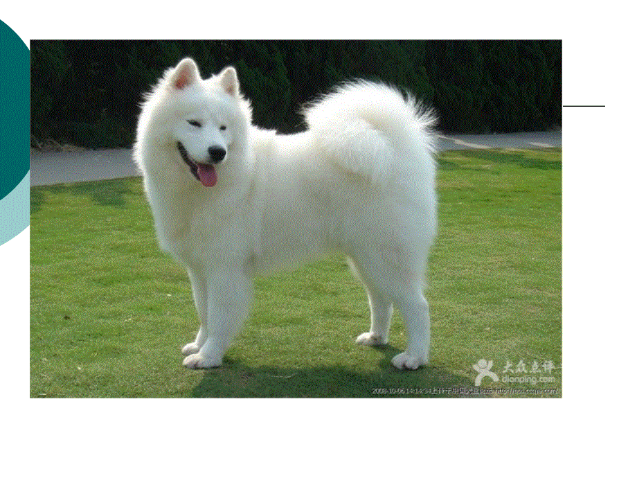 新概念英语第二册第18课（共35张PPT）.ppt_第3页