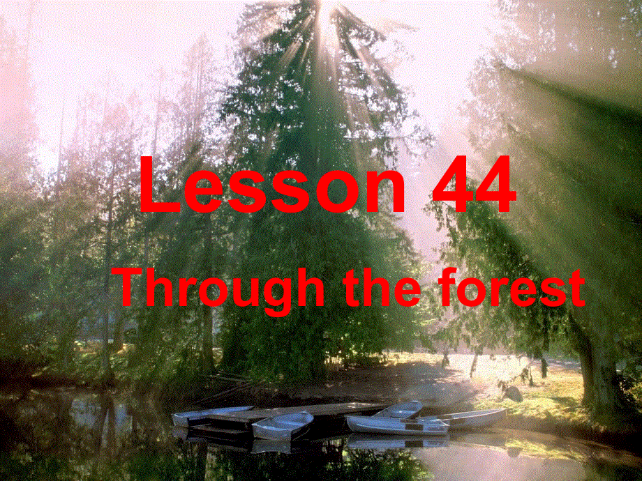 新概念英语第二册课件 第44课(共28张PPT).ppt_第1页