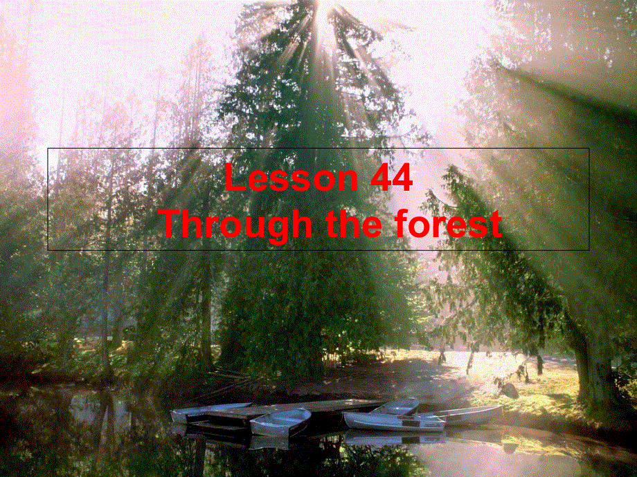 新概念英语第二册课件44课(共19张PPT).ppt_第1页