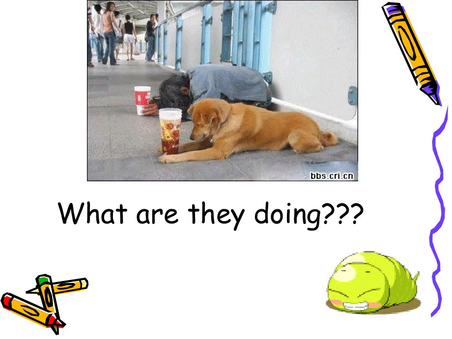 新概念英语第二册课件-(lesson-6-Percy--Buttons)(共28张PPT).ppt_第2页