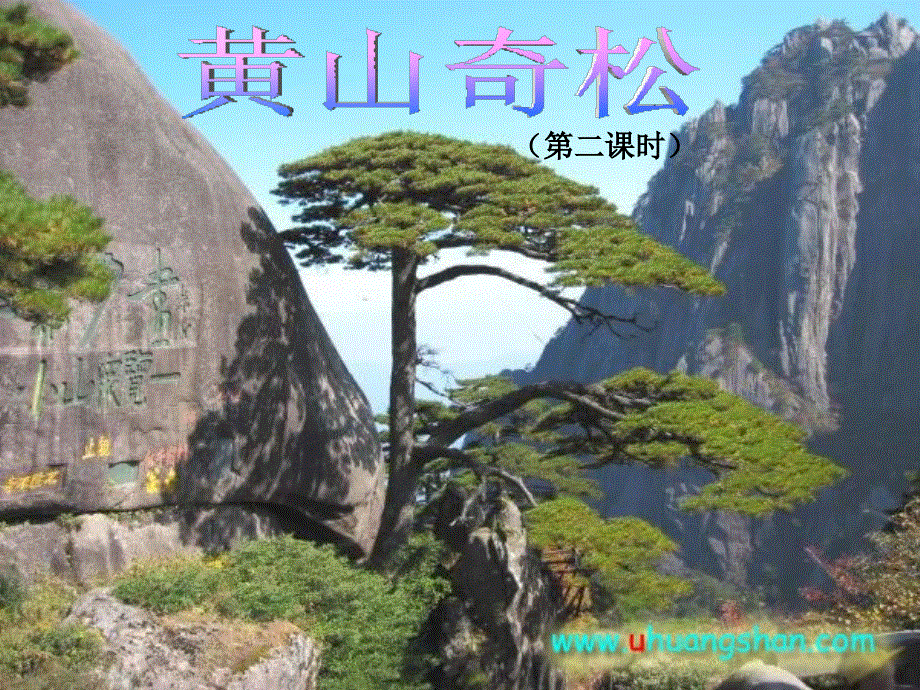 苏教版语文五年级上册：5.16黄山奇松第二课时课件（共13张PPT）.ppt_第1页