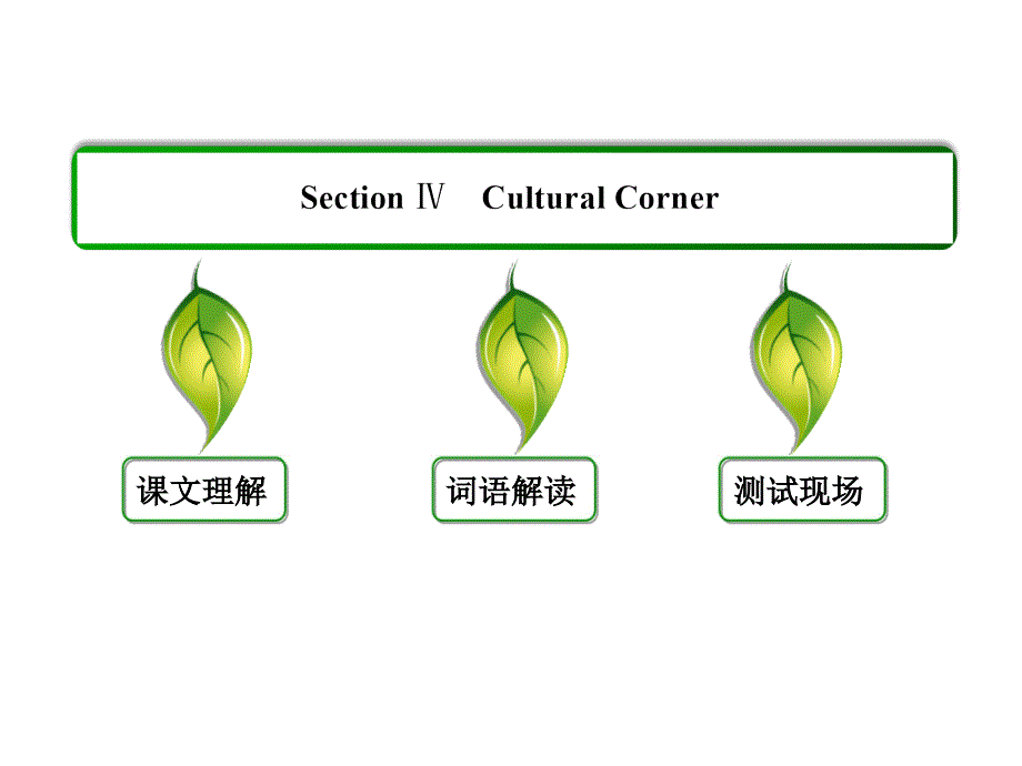 英语选修8外研版MODULE6课件PPT：四川名师整合设计第4课时27张.ppt_第2页