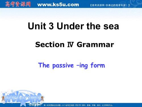高二英语（新人教版选修7）同步课件：UNIT 3UNDER THE SEA 语法讲解.ppt