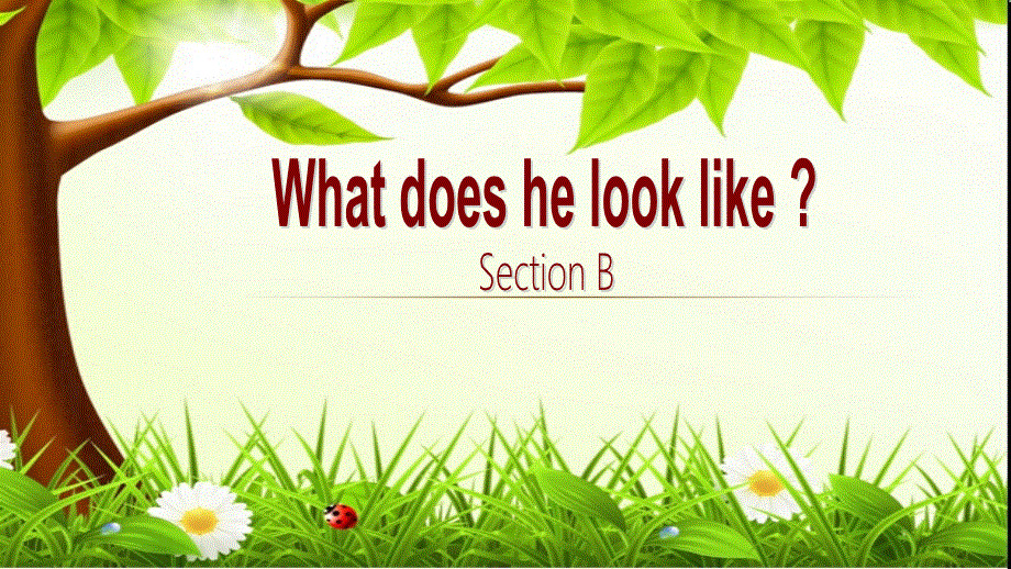 鲁教版七年级英语上 Unit1 What does he look like Section B1a--1d教学课件共20张PPT.ppt_第1页