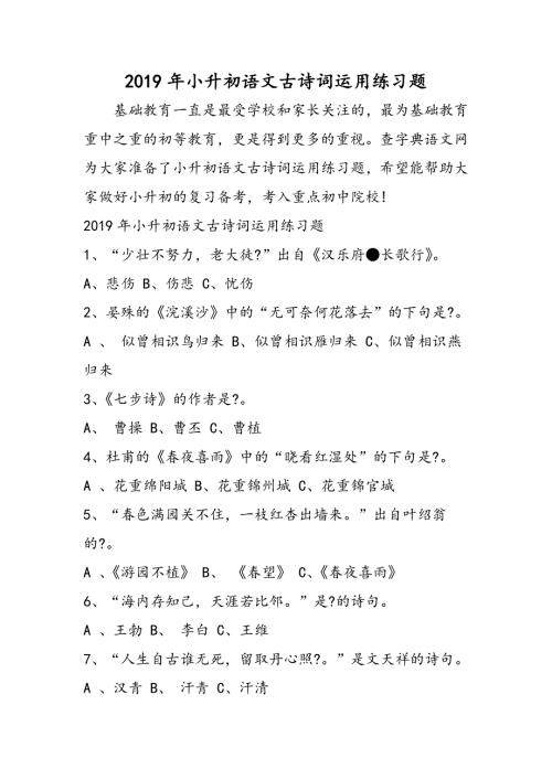 小升初语文古诗词运用练习题.doc