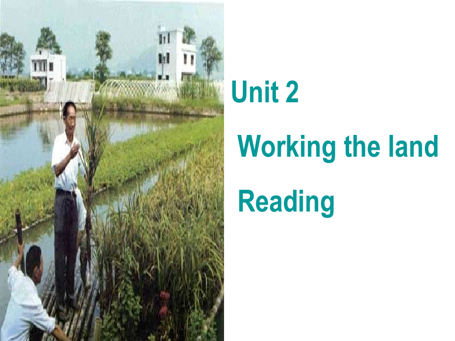 辽宁省北票市高级中学高中英语人教版必修四课件：UNIT 2 WORKING THE LAND（共19张PPT） .ppt_第1页
