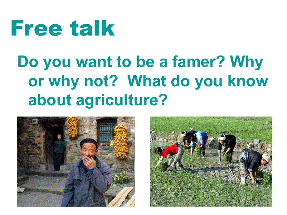 辽宁省北票市高级中学高中英语人教版必修四课件：UNIT 2 WORKING THE LAND（共19张PPT） .ppt_第2页